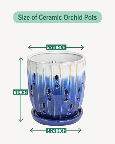 vensovo orchid pot with attached saucer to prevent spills