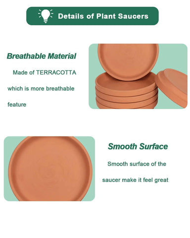 Vensovo packaging with foam protection safeguards saucers during transit.