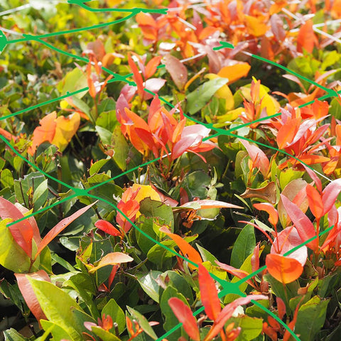 vensovo roller-packaged garden netting ensures tidy storage and quick replacement