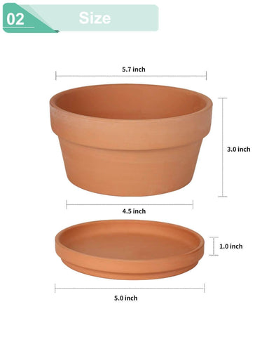 Vensovo shallow succulent pot closeup in breathable terracotta material.