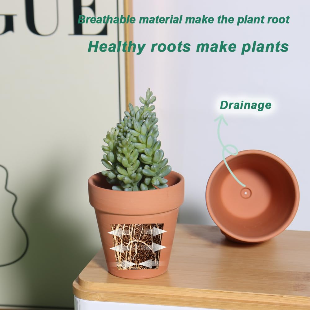 Vensovo small pots ideal for herbs and compact nursery displays.
