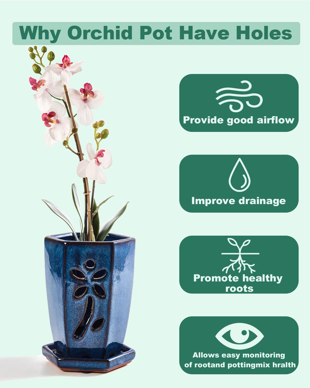 vensovo stable-base ceramic pot with blue glaze for everyday plants.