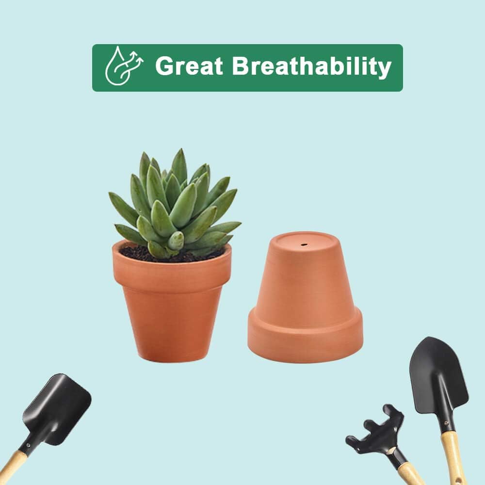 Vensovo succulent pot pack, 48-piece set for arrangements.