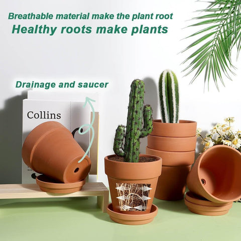 Vensovo terra cotta pot ideal for cactus and succulent arrangements