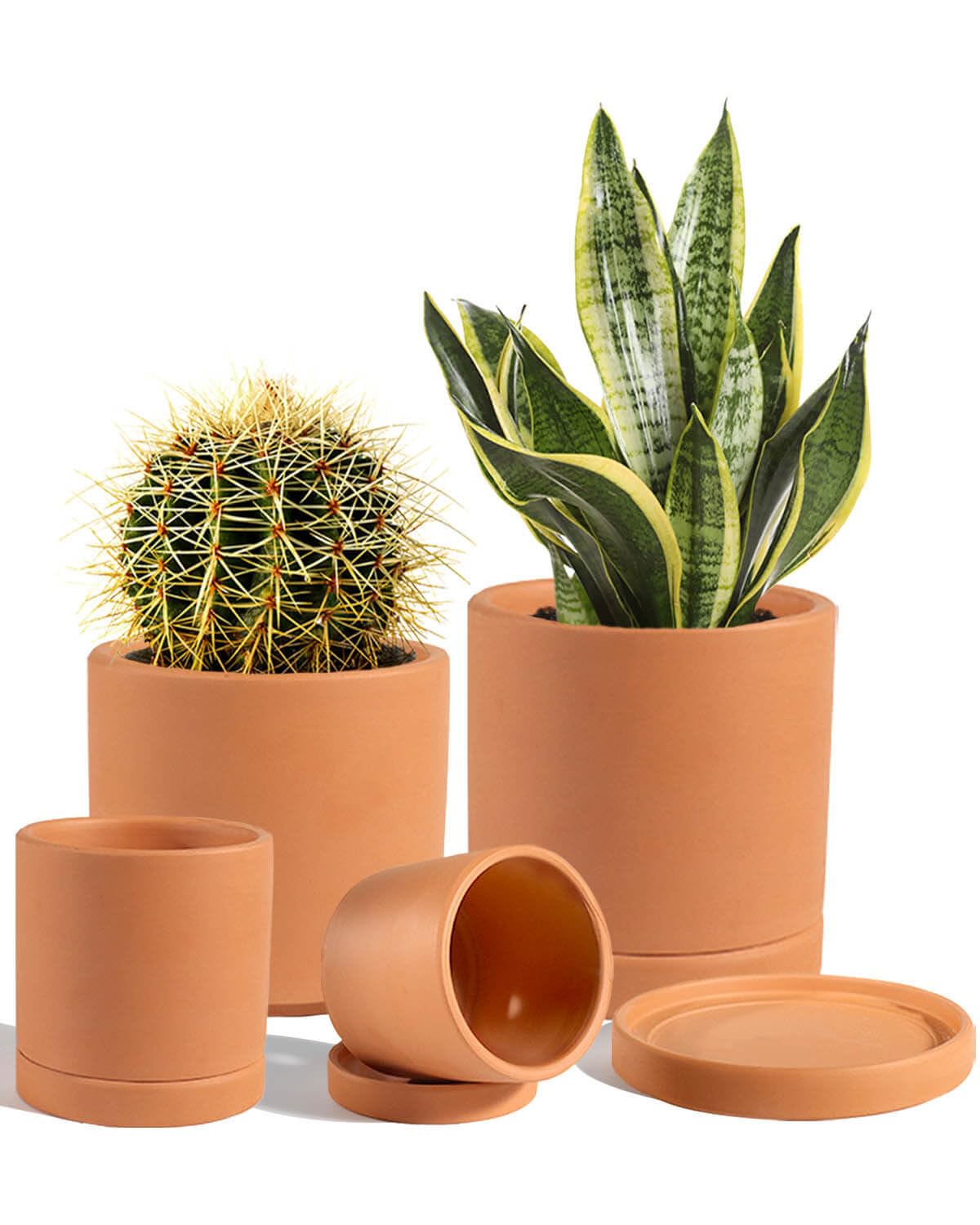 Vensovo terracotta pots closeup shows natural texture for improved root aeration.