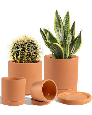 Vensovo terracotta pots closeup shows natural texture for improved root aeration.