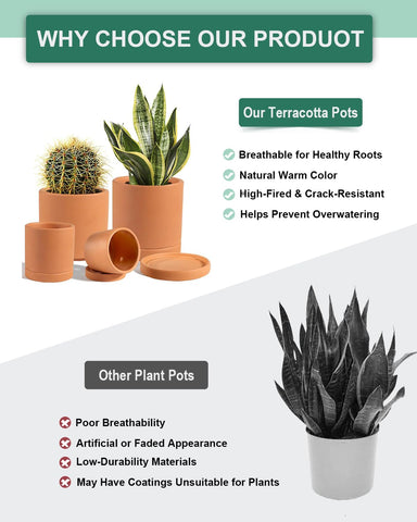 Vensovo terracotta pots top view highlights a round shape ideal for compact greenery.