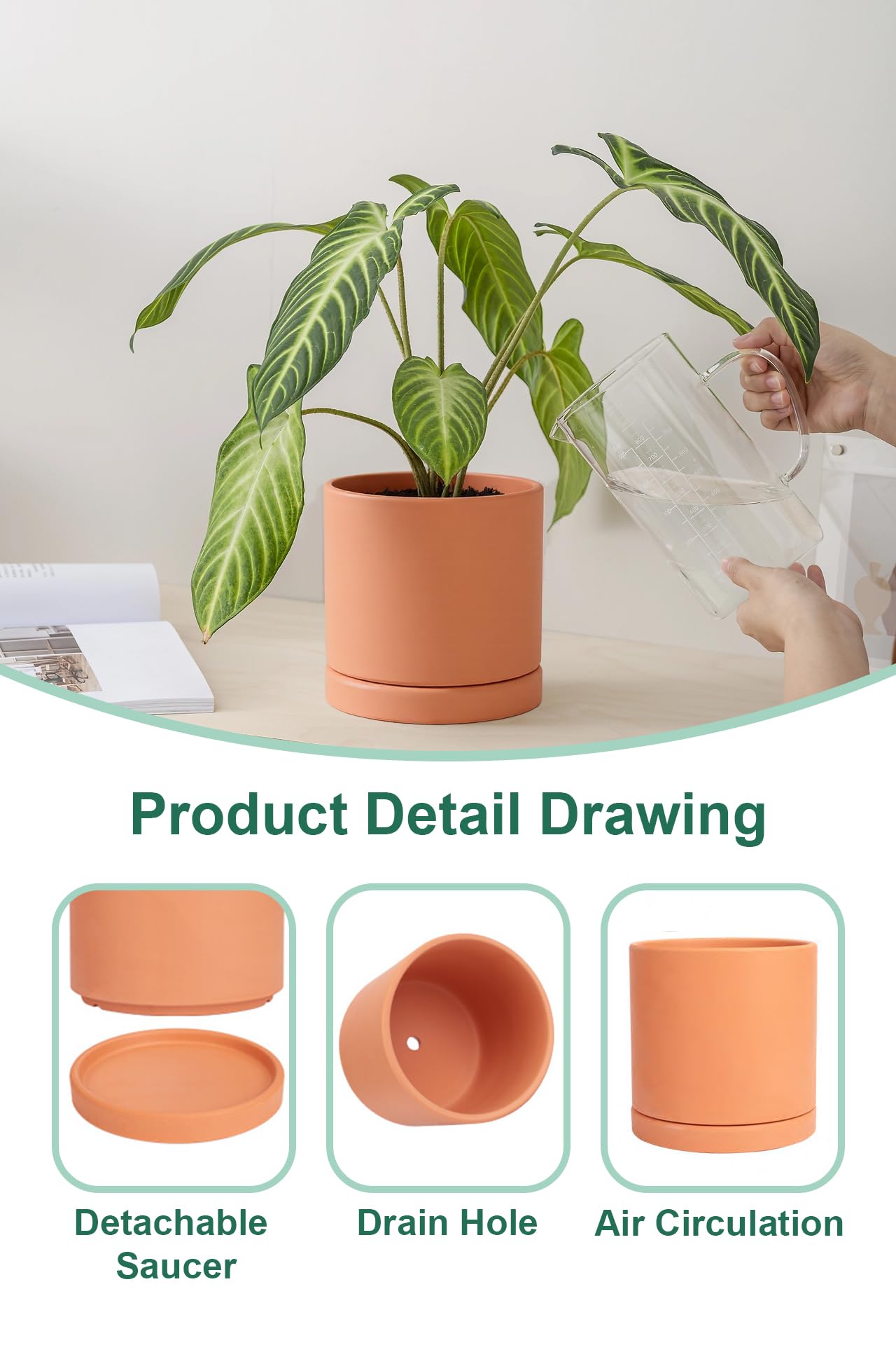 Vensovo terracotta pots drainage detail helps prevent overwatering.
