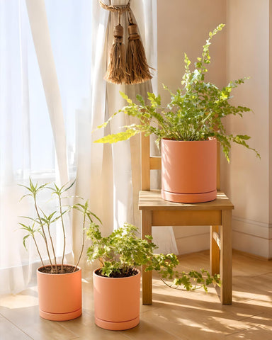 Vensovo terracotta pots arranged outdoors suit patios and balconies.