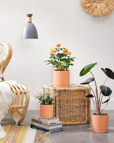 Vensovo terracotta pots packaging foam protection ensures safe delivery.