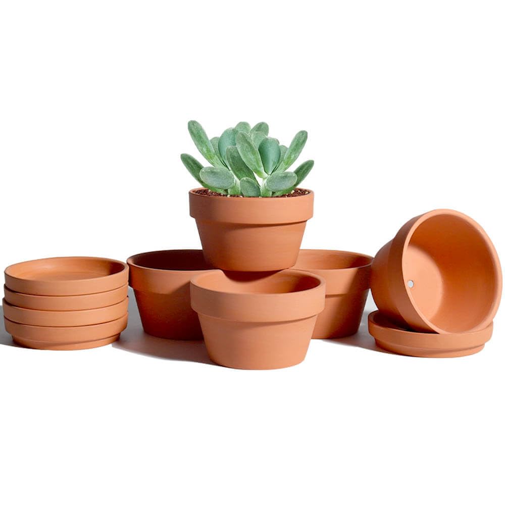 Vensovo terracotta pot 6-pack with classic texture and reliable drainage.