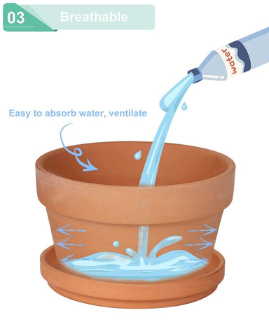 Vensovo terracotta pot indoor setup ideal for cacti and succulents.