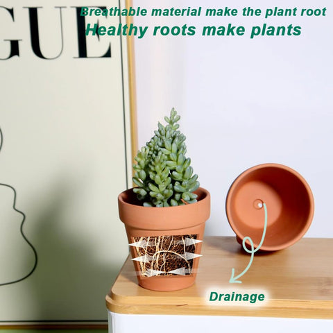 Vensovo indoor windowsill setup shows versatile placement options.
