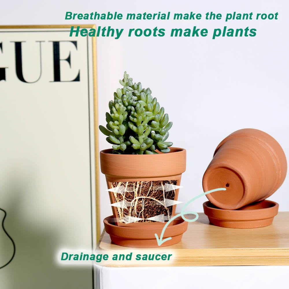 vensovo terracotta pot with drainage hole supports healthy watering control.
