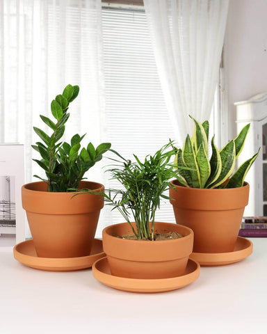 Vensovo four-pack terracotta saucers securely packaged to prevent cracking.