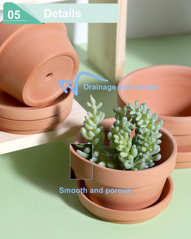 Vensovo textured terracotta walls offer a natural indoor-outdoor look.