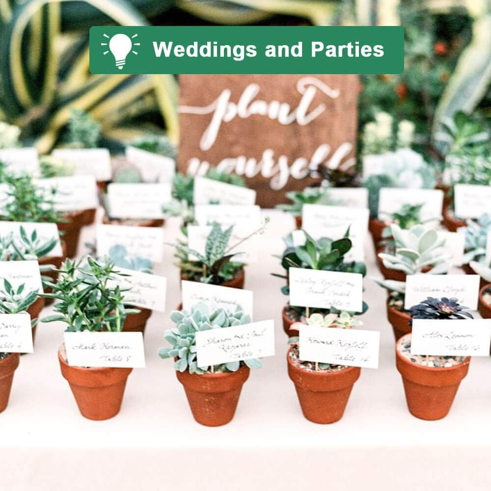 Vensovo wedding favors terracotta pot, charming party decor.