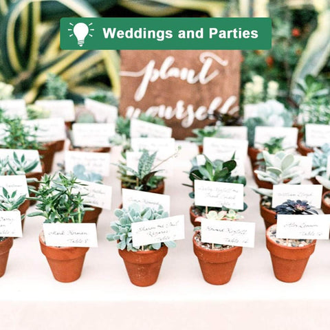 Vensovo wedding favors terracotta pot, charming party decor.