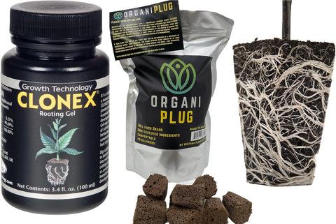 Ventana Clonex rooting gel application supports consistent cloning and even surface coverage