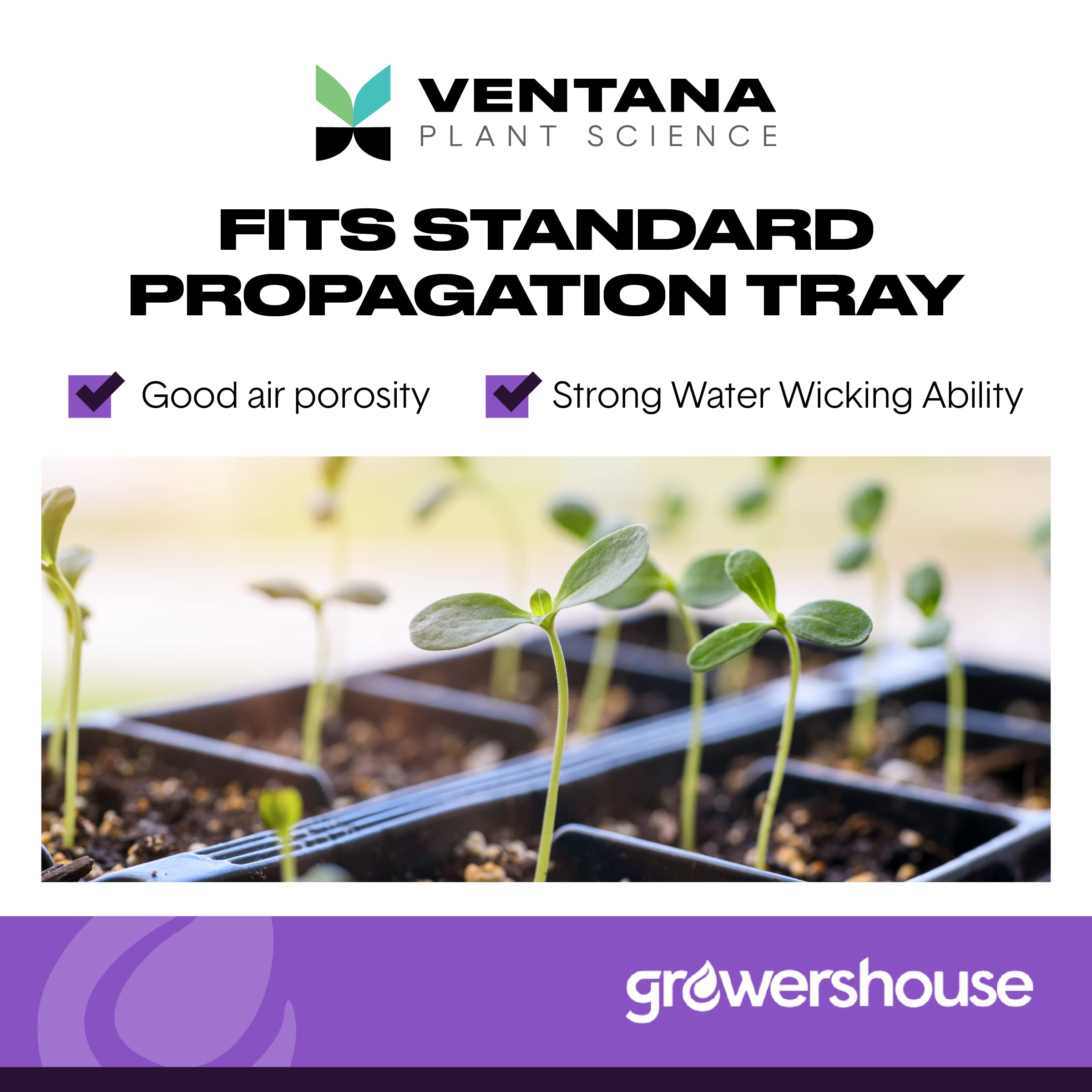 Ventana OrganiPlug aerated design encourages robust lateral roots