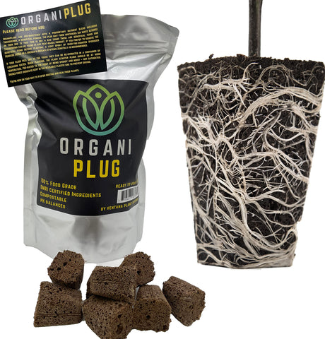 Ventana OrganiPlug seedling pod closeup for easy germination and growth