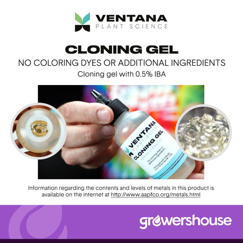 Ventana cloning gel with 0.5% IBA supports strong root initiation