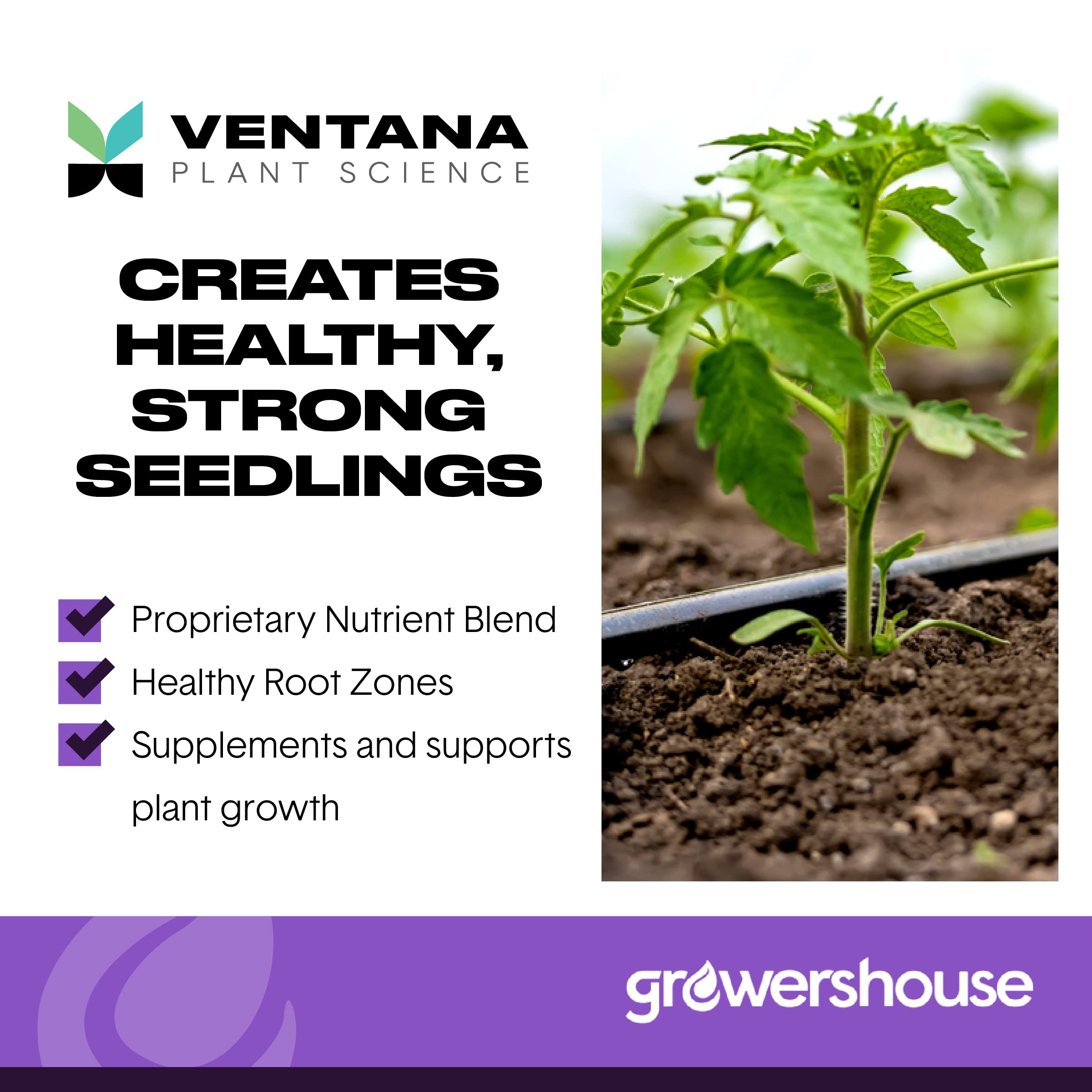 VPS OrganiPlug aerated design promotes robust lateral roots.