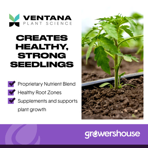 VPS OrganiPlug aerated design promotes robust lateral roots.