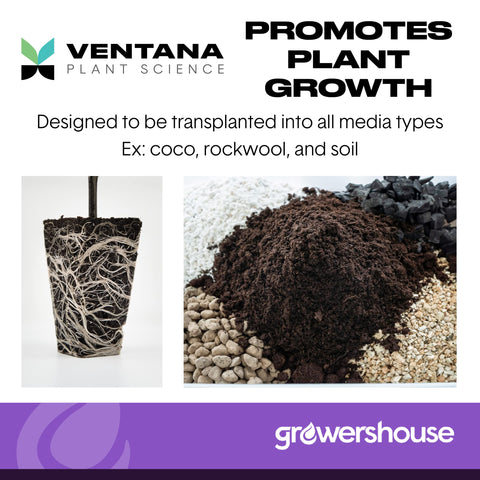 VPS OrganiPlug uses an all-natural binding agent and is compostable.