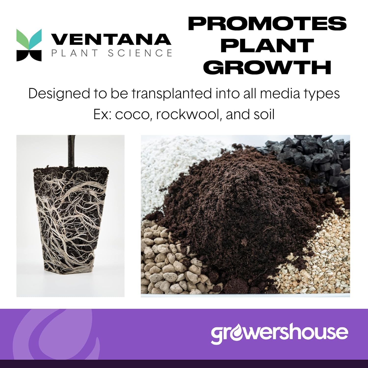 Ventana seed-starting setup showcases a clean hydroponic environment