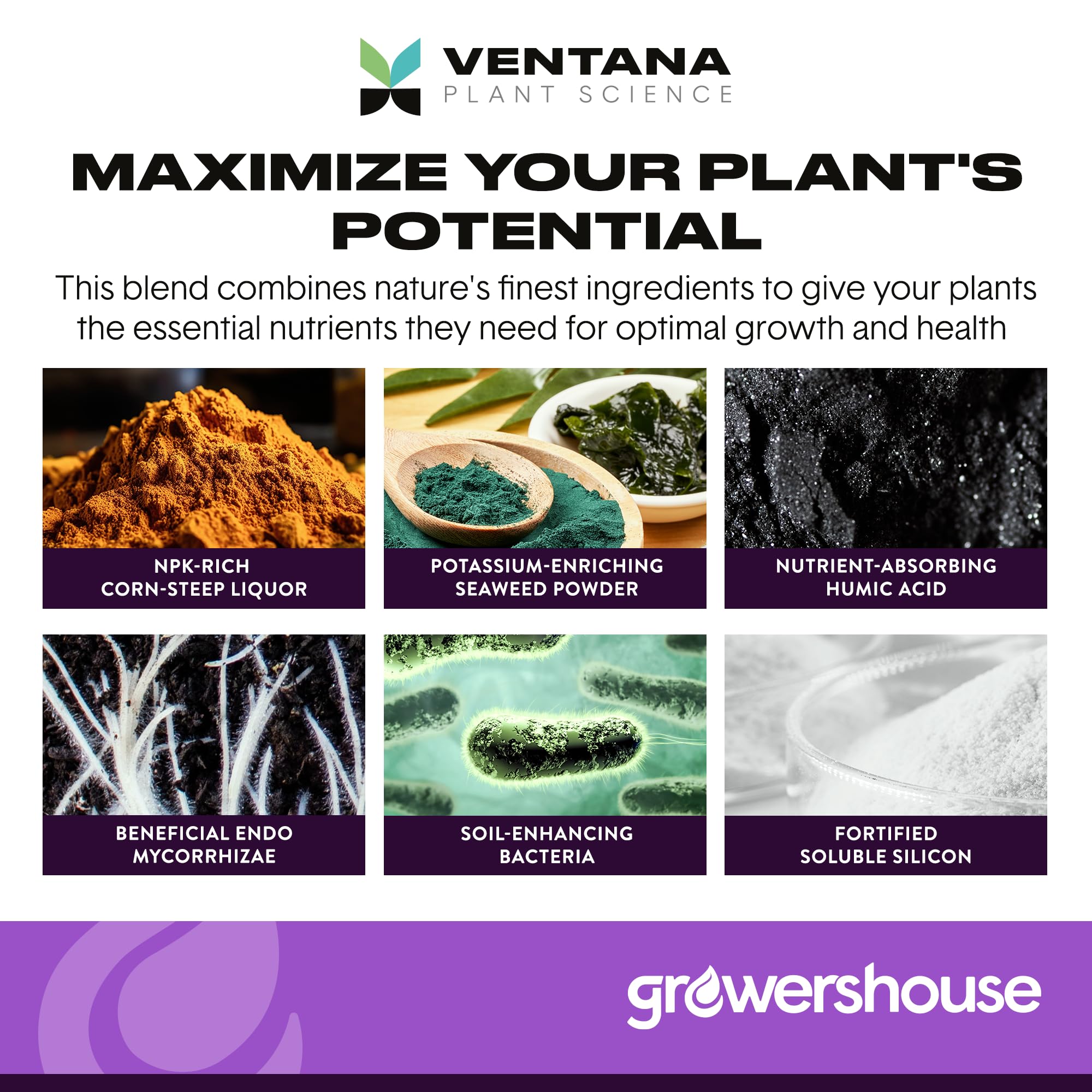 Ventana Stash Blend mycorrhizae bacteria mix enhancing soil vitality
