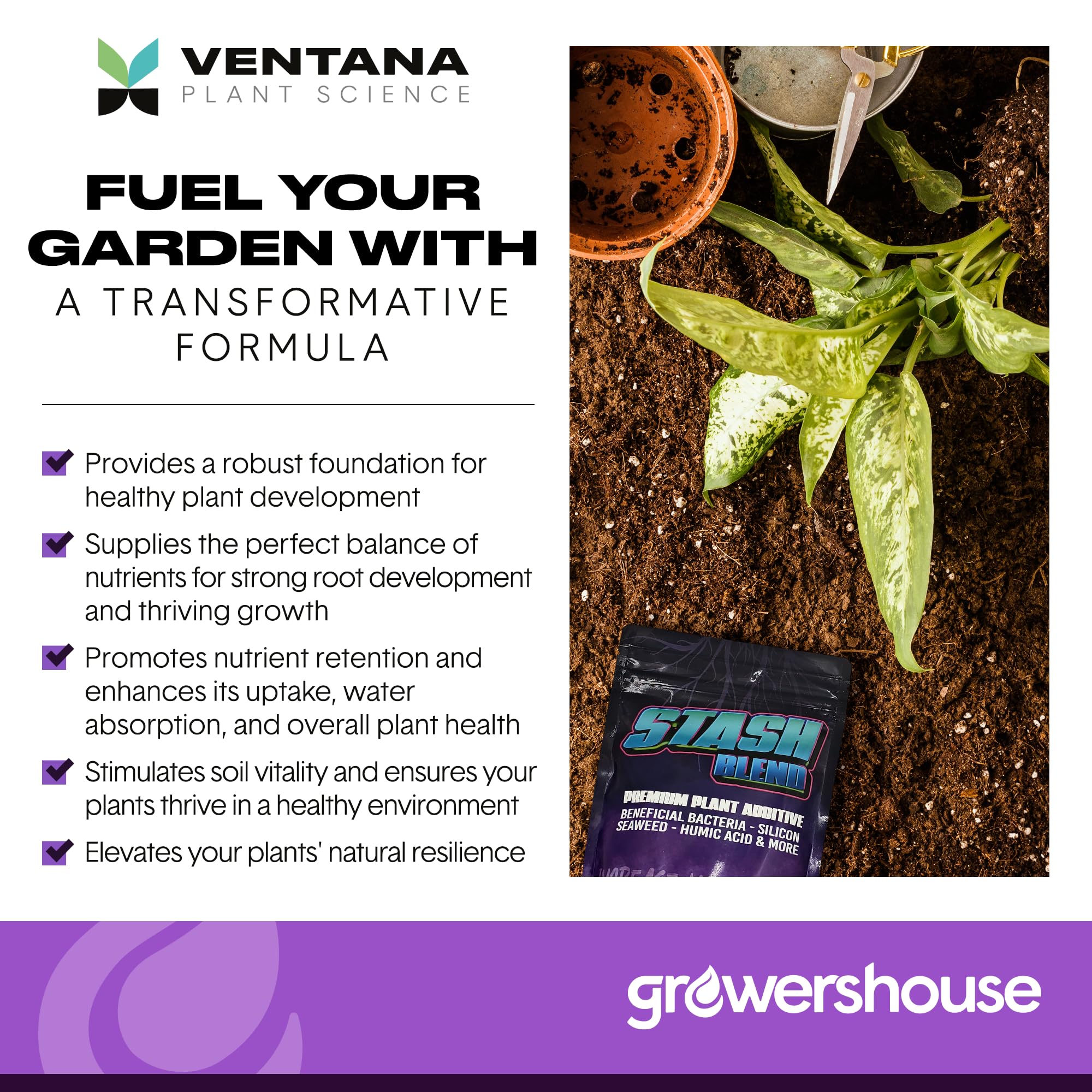 Ventana Stash Blend seaweed powder dust scene highlighting potassium enrichment for roots