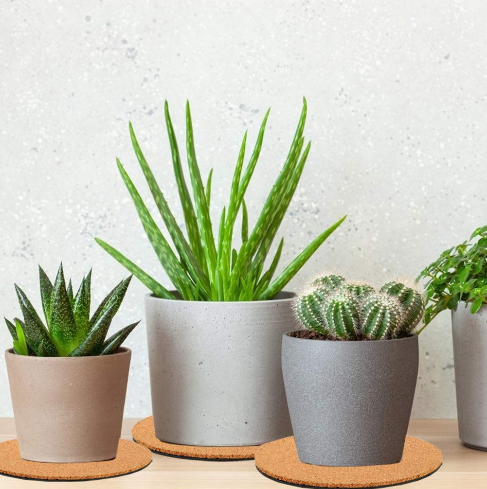 Venyat nude 4-inch cork plant mat versatile and paintable for small pots