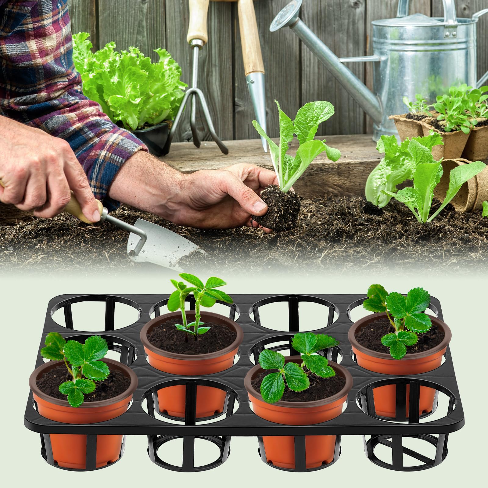 Vercraft 12-cell tray design supports organizing multiple pots efficiently.