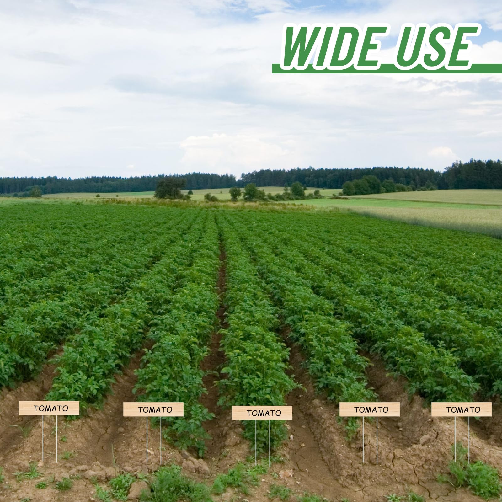 Clear visibility and organized garden layouts with Vercraft jumbo stakes.