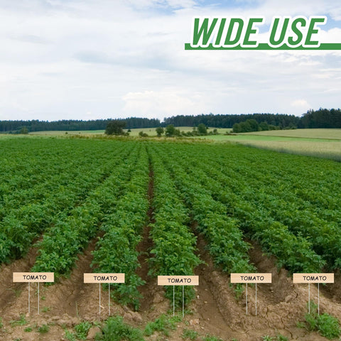 Clear visibility and organized garden layouts with Vercraft jumbo stakes.