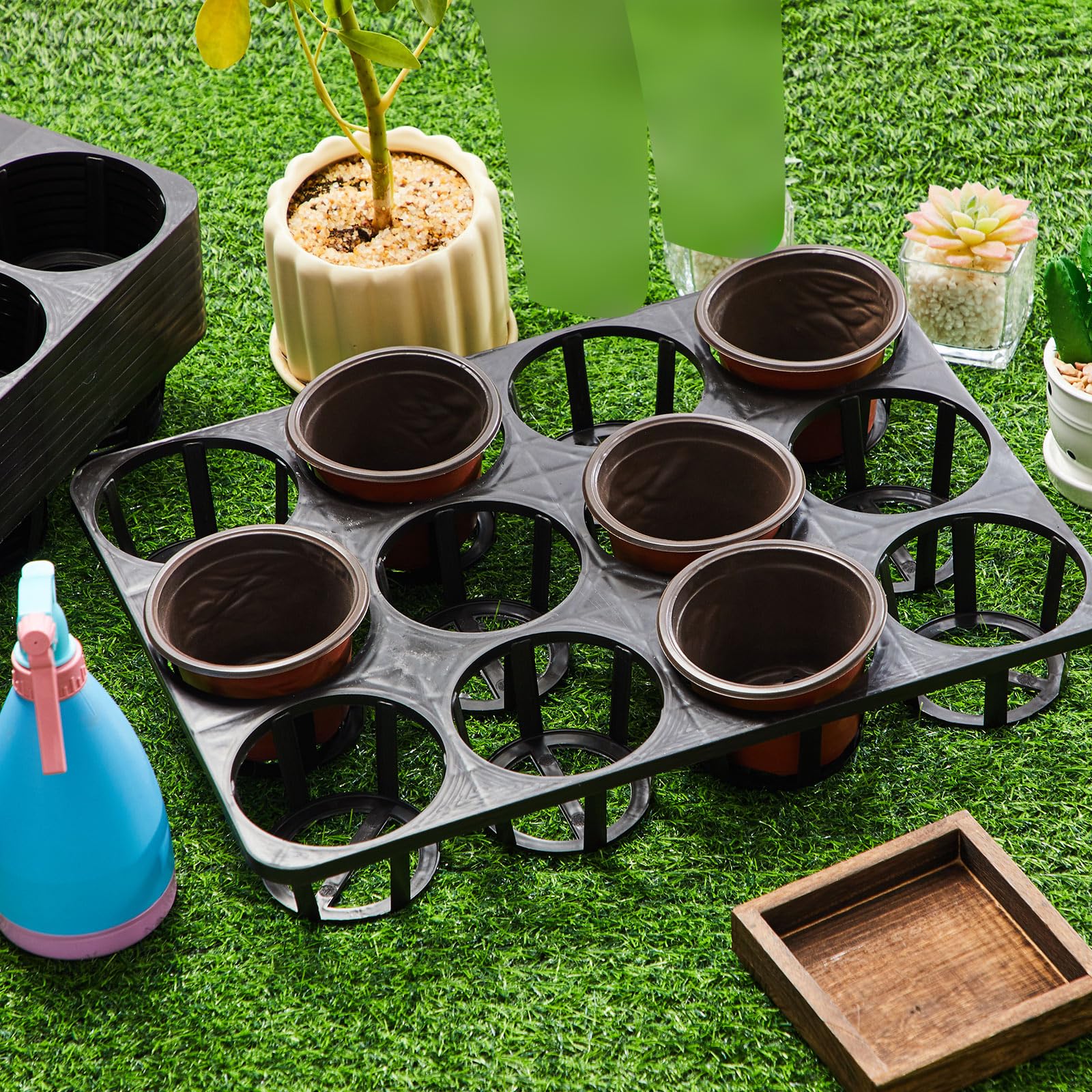 Vercraft compact carrier helps transfer seedlings with stability.