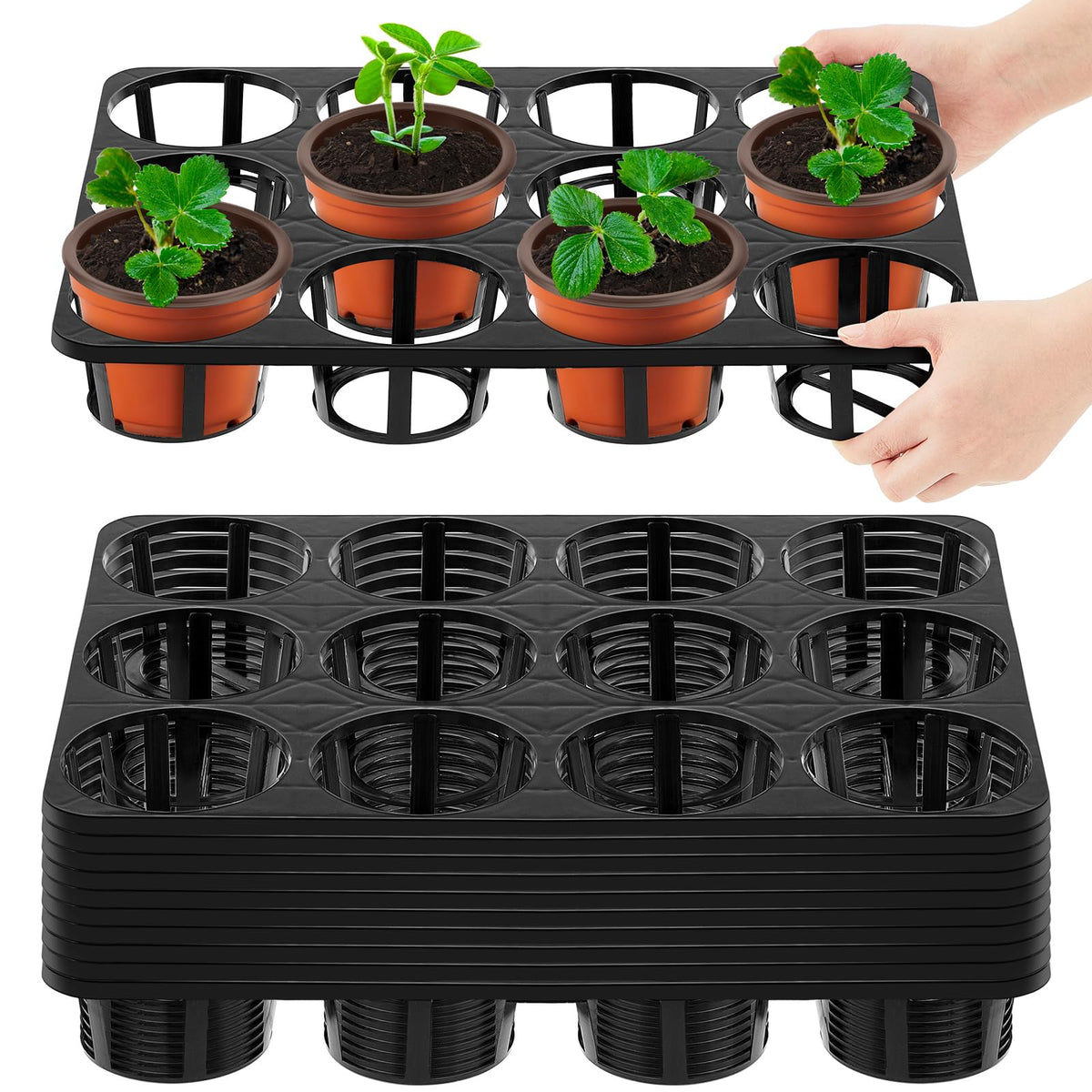 Vercraft 12-cell nursery tray pack, ideal for seedling organization and transport.