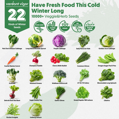 Verdant Vigor 22-varieties label highlights heirloom, non-GMO seeds for home gardens