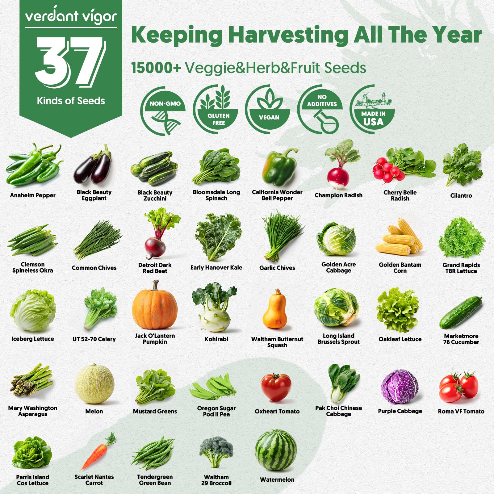 Verdant Vigor heritage seeds close-up highlighting non-GMO heirloom quality.