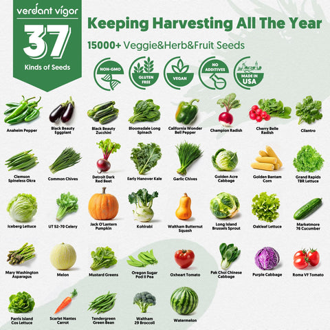 Verdant Vigor heritage seeds close-up highlighting non-GMO heirloom quality.