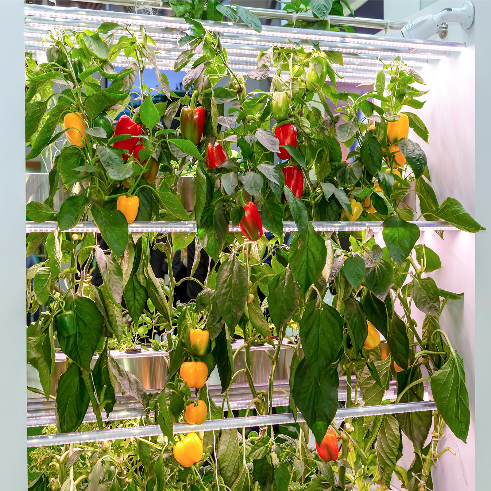 Verdant Vigor compatible for indoor-outdoor gardening setups and flexible space use.