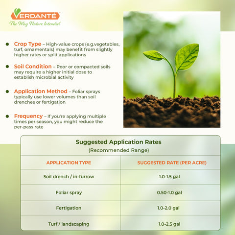 VERDANTÉ Complete Plant Care Liquid garden-care use captures vibrant soil life.