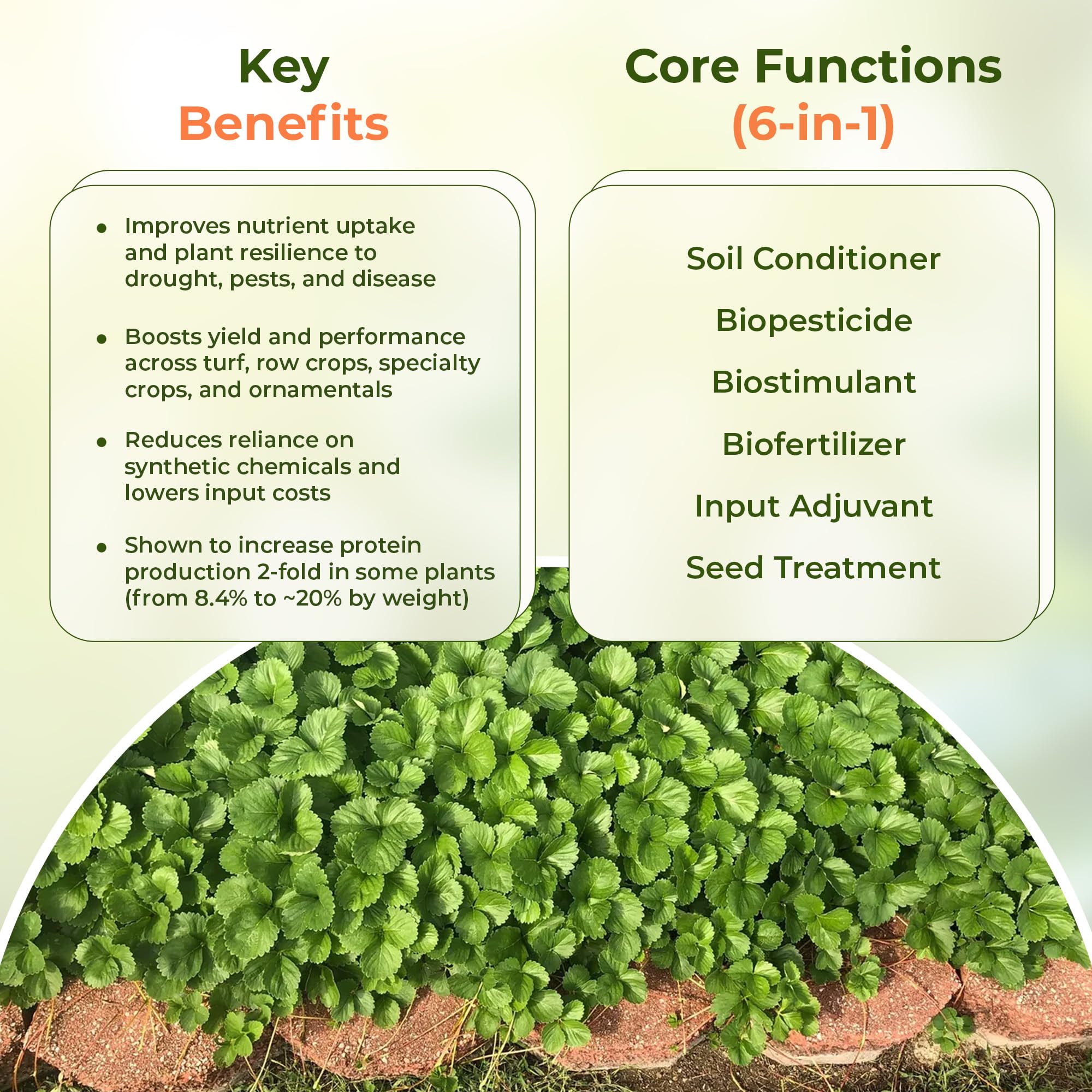 VERDANTÉ Complete Plant Care Liquid spray shows convenient mist for uniform coverage.