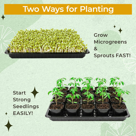 Verdanzia kraft paper square pots allow direct soil transplant
