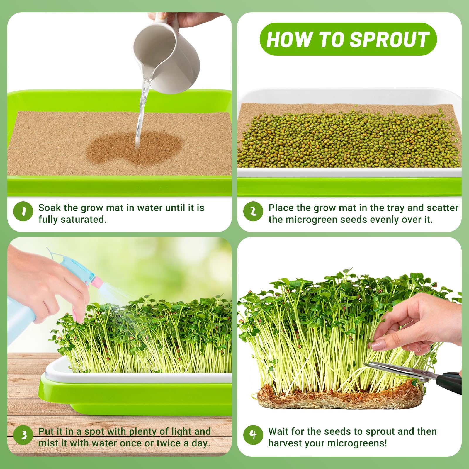 Verdanzia microgreens mat supports sprouts and basil in a clean hydroponic setup.