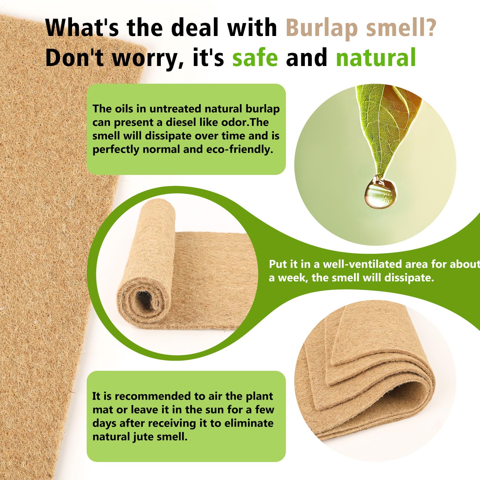 Verdanzia no-soil cultivation mat helps reduce pests and simplifies cleanup.