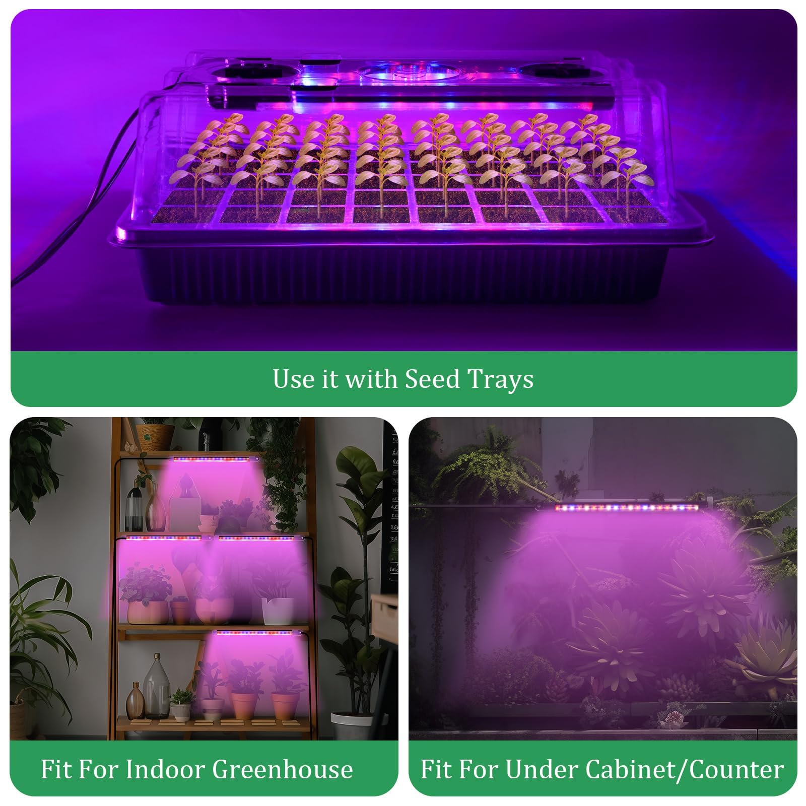 Verdenu seed starter tray drainage holes prevent overwatering while observing roots.