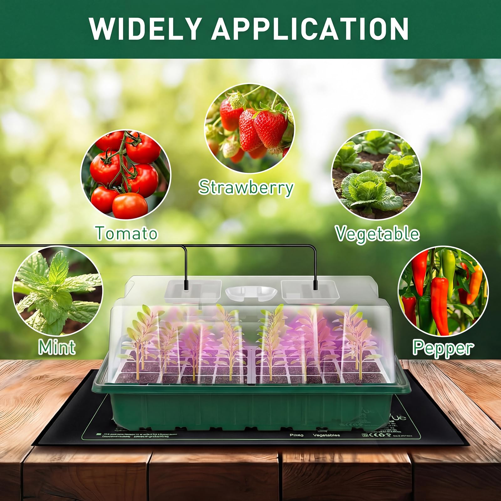 Verdenu gardening tools and labels help organize planting and progress tracking.