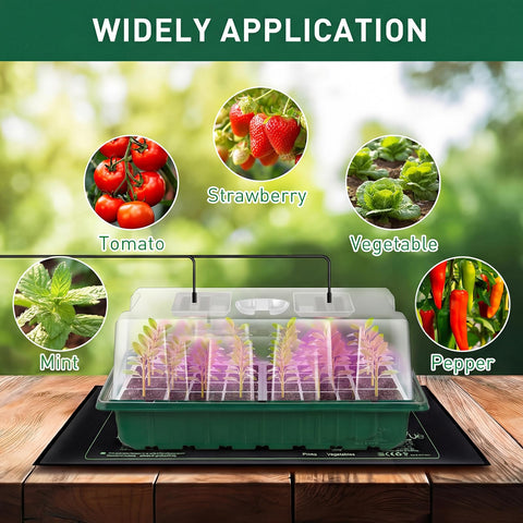 Verdenu gardening tools and labels help organize planting and progress tracking.